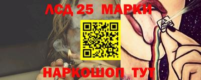 шишки Будённовск