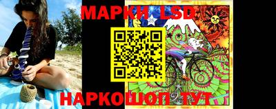 шишки Будённовск