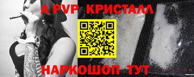 шишки Будённовск