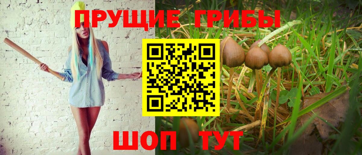 Псилоцибиновые грибы ЛСД  Вход с VPN  Новоалександровск 